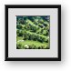 Buy Framed Print