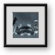 Buy Framed Print