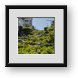 Buy Framed Print
