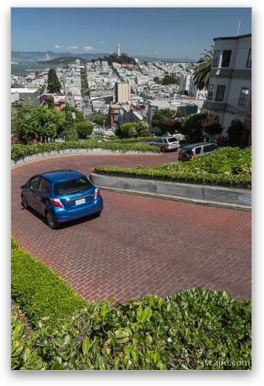 Lombard Street from the Top Fine Art Print