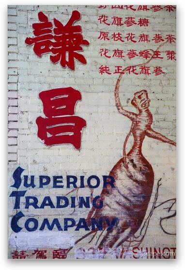 Wall advertisement in Chinatown Fine Art Metal Print