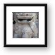 Guardian Lion - Chinatown Framed Print