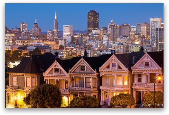 The Painted Ladies and San Francisco Skyline Fine Art Print