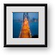 Buy Framed Print