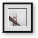 Buy Framed Print
