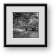 Buy Framed Print
