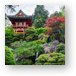 Japanese Tea Garden - Golden Gate Park Metal Print