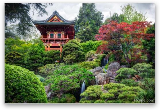 Japanese Tea Garden - Golden Gate Park Fine Art Print