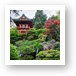Japanese Tea Garden - Golden Gate Park Art Print