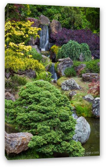 Cascade Waterfall - Japanese Tea Garden Fine Art Canvas Print