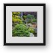 Buy Framed Print