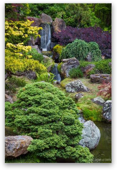 Cascade Waterfall - Japanese Tea Garden Fine Art Metal Print