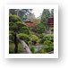 Japanese Tea Garden - Golden Gate Park Art Print