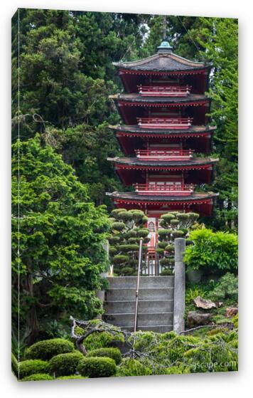 Pagoda in Japanese Tea Garden - Golden Gate Park Fine Art Canvas Print