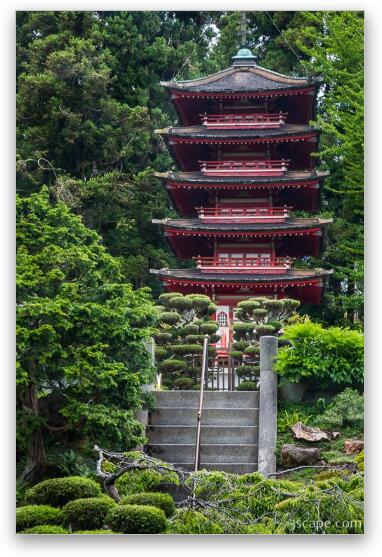 Pagoda in Japanese Tea Garden - Golden Gate Park Fine Art Metal Print