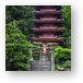 Pagoda in Japanese Tea Garden - Golden Gate Park Metal Print