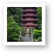 Pagoda in Japanese Tea Garden - Golden Gate Park Art Print