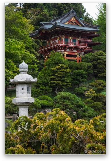 Japanese Tea Garden - Golden Gate Park Fine Art Metal Print