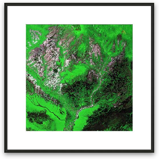 Araca River Framed Fine Art Print