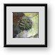 Buy Framed Print