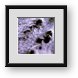 Buy Framed Print
