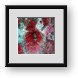 Buy Framed Print