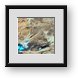 Buy Framed Print