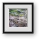 Buy Framed Print