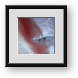 Buy Framed Print