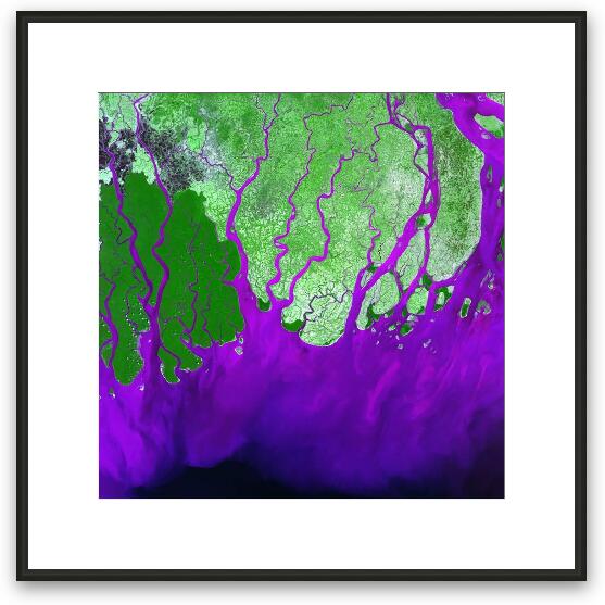 Ganges River Delta Framed Fine Art Print