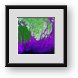 Buy Framed Print