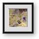 Buy Framed Print