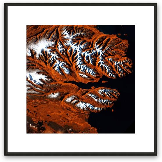 Icelandic Tiger Framed Fine Art Print