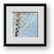 Buy Framed Print