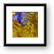 Lake Disappointment Framed Print