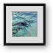 Buy Framed Print