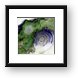 Richat Structure in Mauritania Framed Print