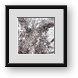 Buy Framed Print