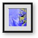 Buy Framed Print