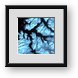Buy Framed Print