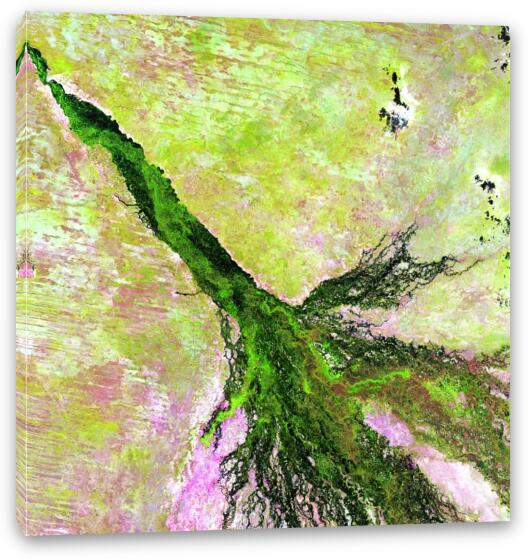 Okavango Delta Fine Art Canvas Print