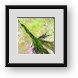 Buy Framed Print