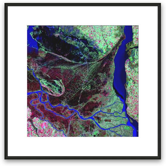 Parana River Delta Framed Fine Art Print