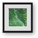 Buy Framed Print