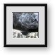 Buy Framed Print
