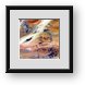 Buy Framed Print