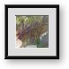 Buy Framed Print