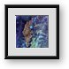 Buy Framed Print