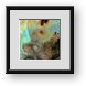 Buy Framed Print