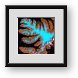 Buy Framed Print